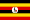 Uganda Free sex chat