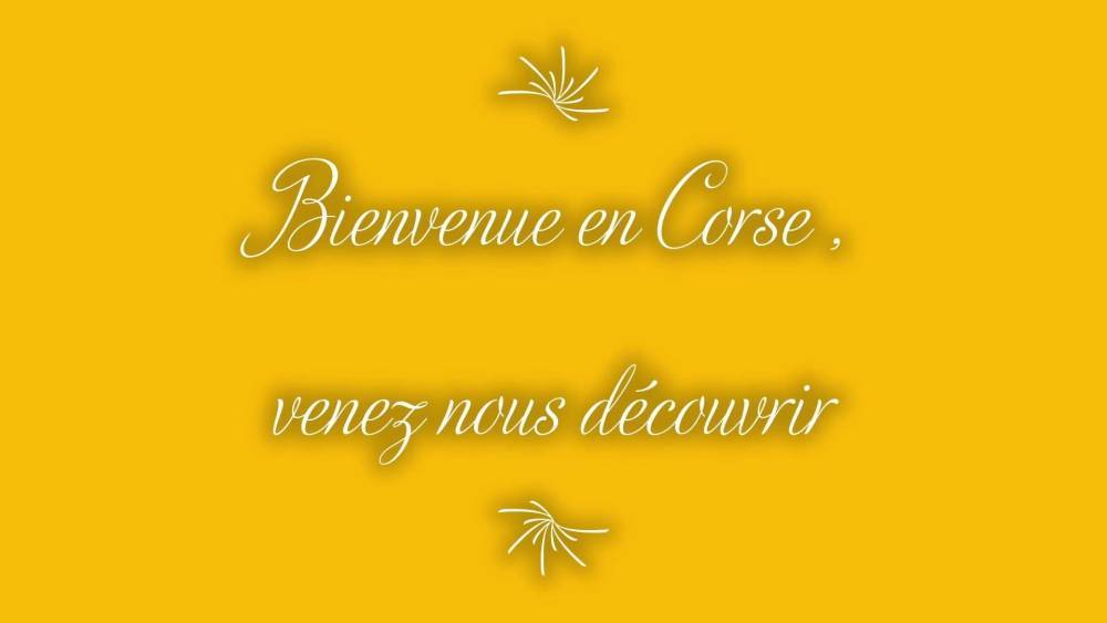 Welcome to Corsica, come and discover us - xh.video