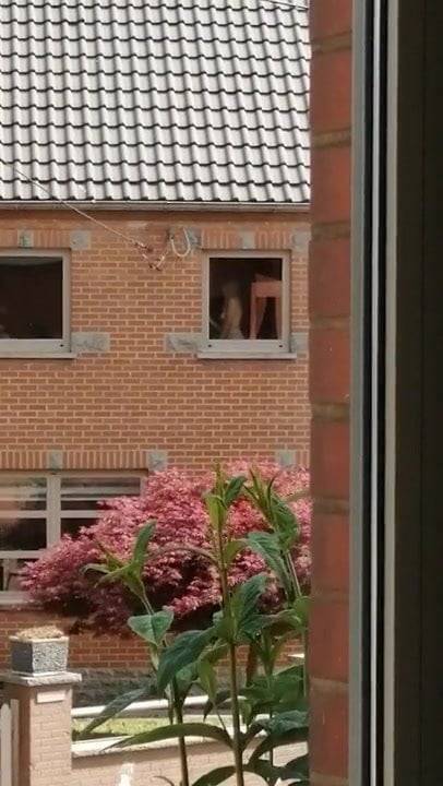 my neighboor - xh.video