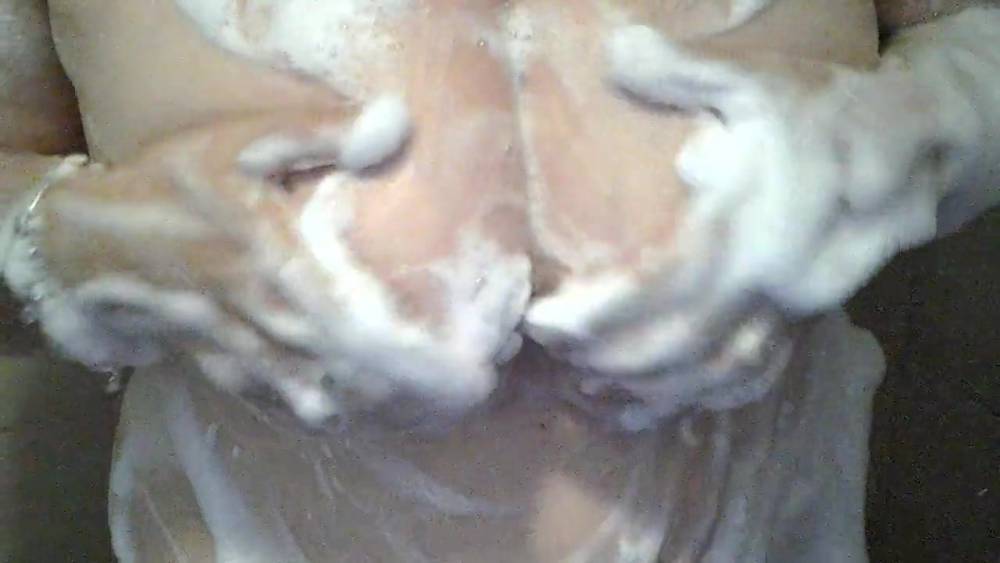 soapy kitties - xh.video