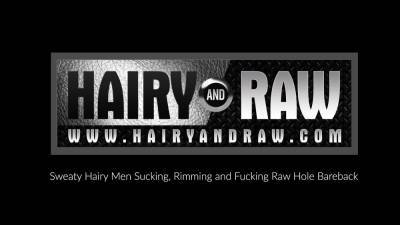 HAIRYANDRAW Brendan Patrick And Harper Davis Breed In 3way - icpvid.com