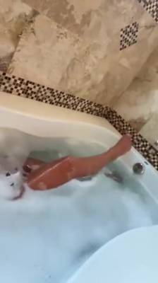 Leaked Bathtub Shower Porn Video - hclips.com