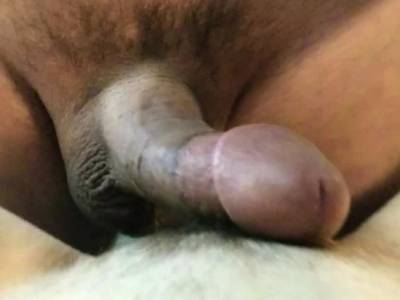 big cock in tight pussy - drtvid.com