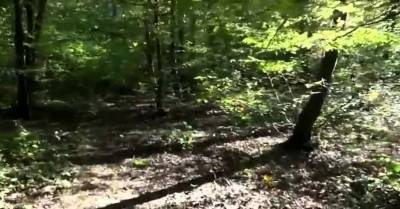 Stranger join fuck slut girl in woods - nvdvid.com