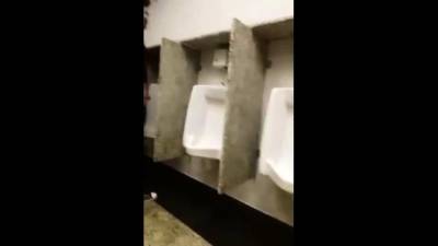 breeding a slut in a Public Bathroom - nvdvid.com