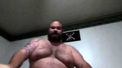 Big hairy Bear - nvdvid.com