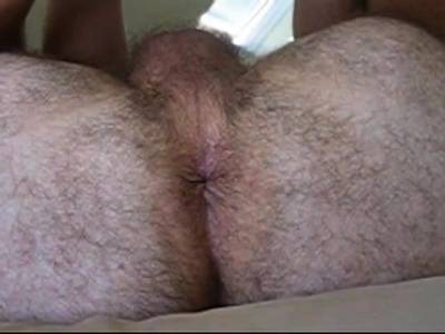 Daddy Bear Eats Hairy Asshole - nvdvid.com