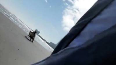 Jerking off on public beach-Big Cum Shot-Hairy Bear - nvdvid.com