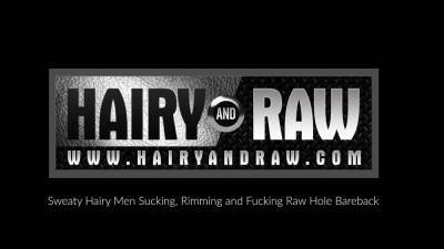 HAIRYANDRAW Hairy Men Wade Cashen And Troy Web Raw Breed - drtuber.com