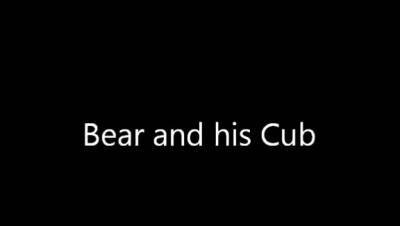 Bear and his cub - drtuber.com