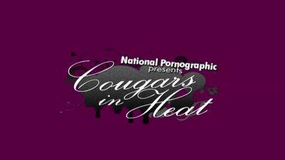 cougar - Michelle Lay-Cougar Catnip [Pornvex] - drtuber.com