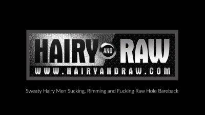 HAIRYANDRAW Submissive John Stache Bred Raw By Hart Caldwell - drtuber.com