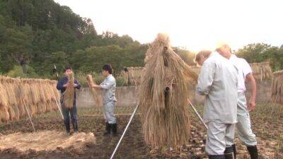 06A0523-A Mature Woman Visited At Night By The Farmer'S Son - senzuri.tube