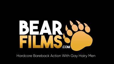 BEARFILMS Bottom Hugh Hunter Bred Raw By Black Saul Leinard - drtuber.com