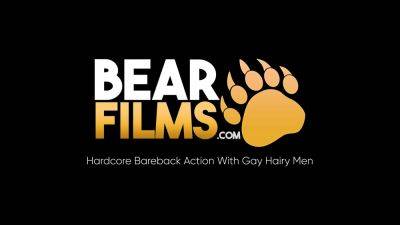 BEARFILMS Compilation Of Bears Relentlessly Breeding Raw - drtuber.com