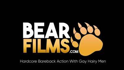 BEARFILMS Hairy Bears Latin Wolf And Latin Bori Bareback - drtuber.com