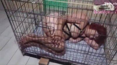 Bastinated In The Cage To Submissive Moranguinho - upornia.com